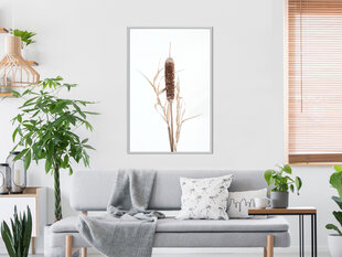 Seinapilt Typha hind ja info | Seinapildid | hansapost.ee