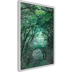 Плакат Tree Tunnel цена и информация | Картины, живопись | hansapost.ee