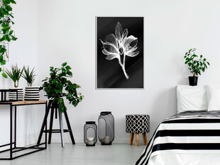 Плакат White Plant цена и информация | Картины, живопись | hansapost.ee
