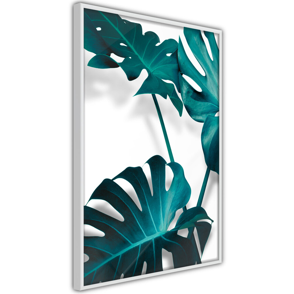 Seinapilt Turquoise Monstera hind ja info | Seinapildid | hansapost.ee