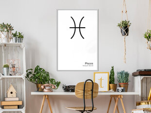 Seinapilt Zodiac: Pisces hind ja info | Seinapildid | hansapost.ee
