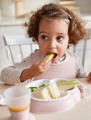 Sööginõude komplekt BabyBjörn Baby Dinner Set, 5 osa, roosa цена и информация | Детская посуда, контейнеры для молока и еды | hansapost.ee