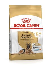 Royal Canin German Shepherd Adult +5 täiskasvanud saksa lambakoertele, 3 kg hind ja info | Koerte kuivtoit ja krõbinad | hansapost.ee