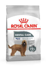 Royal Canin Maxi Dental Care для взрослых собак крупных пород, 3 кг цена и информация | Сухой корм для собак | hansapost.ee