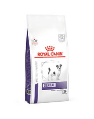 Royal Canin Small Dog hambaravi väikest tõugu koertele, 3,5 kg hind ja info | Koerte kuivtoit ja krõbinad | hansapost.ee