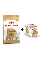 Royal Canin Pomeranian Adult 3 кг + Pomeranian Adult для собак породы миниатюрный шпиц, 12х85г цена и информация | Сухой корм для собак | hansapost.ee