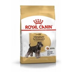 Royal Canin Miniature Schnauzer Adult täiskasvanud kääbusšnautseritele, 7,5 kg hind ja info | Koerte kuivtoit ja krõbinad | hansapost.ee