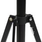 Valgustistatiiv Falcon Eyes Compact Light Stand LMC-1900 63-221cm цена и информация | Fotoaparaatide statiivid | hansapost.ee