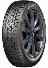 Delinte WD1 205/60R16 96 H цена и информация | Зимняя резина | hansapost.ee