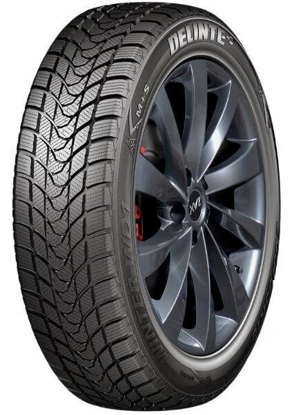 Delinte WD1 175/70R14 88 T hind ja info | Talverehvid | hansapost.ee