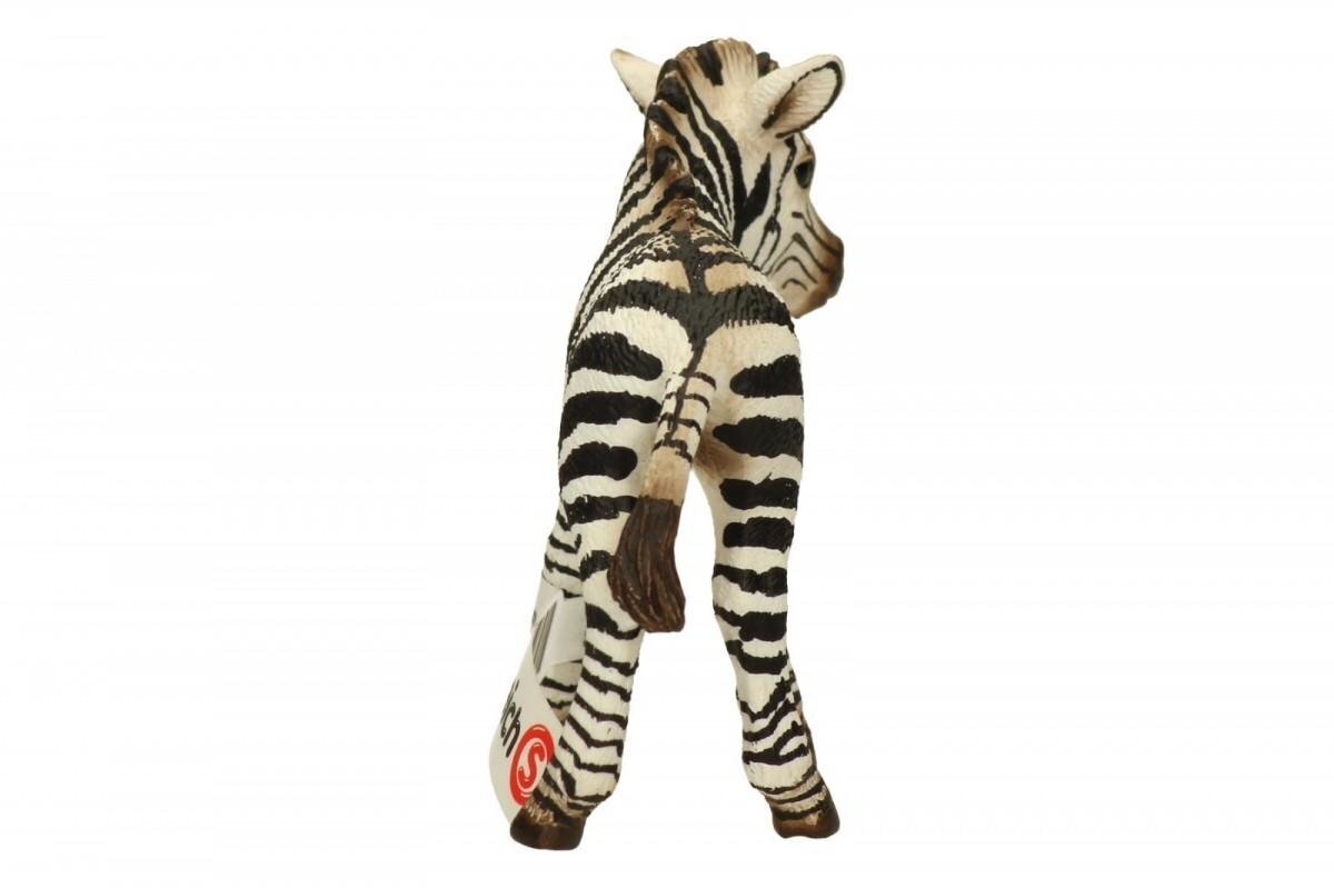 SCHLEICH WILD LIFE Sebra, Emane hind ja info | Mänguasjad poistele | hansapost.ee