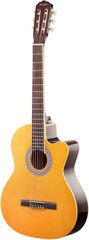 Klassikaline kitarr Axesmith Classic Cutaway 39" Classic Acoustic Guitar hind ja info | Kitarrid | hansapost.ee