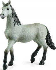 Фигурка испанского молодого коня Schleich цена и информация | Игрушки для мальчиков | hansapost.ee