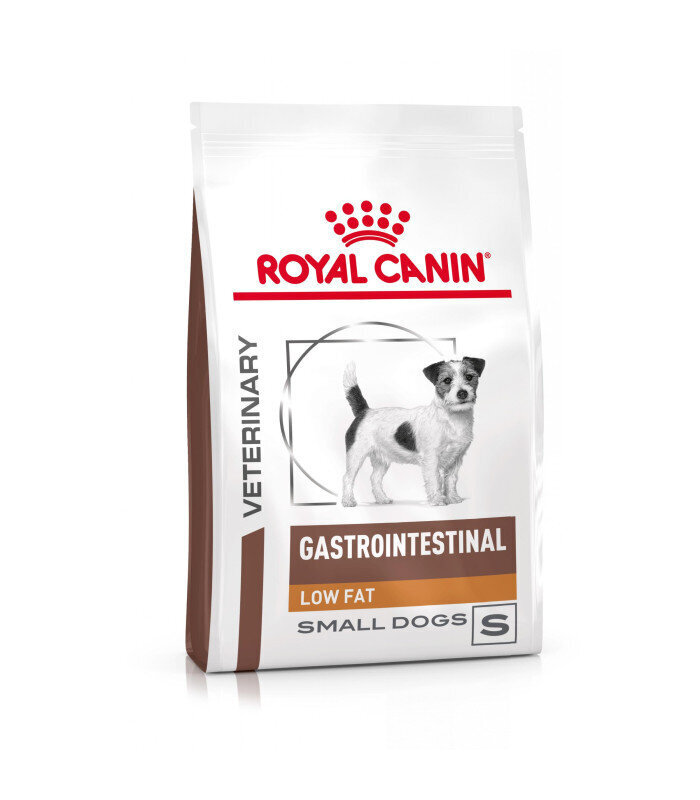 Royal Canin Veterinary Gastrointestinal väikest tõugu koertele, 3,5 kg цена и информация | Koerte kuivtoit ja krõbinad | hansapost.ee