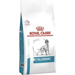 Royal Canin Dog anallergenic для взрослых собак, 1,5 кг цена и информация | Сухой корм для собак | hansapost.ee