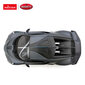 Raadio teel juhitav mudelauto Rastar 1:14 Bugatti Divo, 98000 цена и информация | Mänguasjad poistele | hansapost.ee