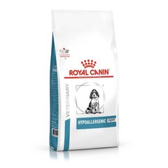 Royal Canin Hypoallergenic для молодых щенков, 3,5 кг цена и информация | Сухой корм для собак | hansapost.ee
