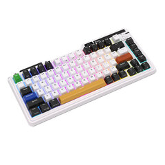 Royal Kludge mehaaniline klaviatuur KZZI K75 pro RGB, Eternity Switch, must ja valge цена и информация | Клавиатуры | hansapost.ee