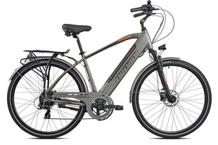Электрический велосипед Torpado Apollo T245A, серый цвет цена и информация | Электровелосипеды | hansapost.ee