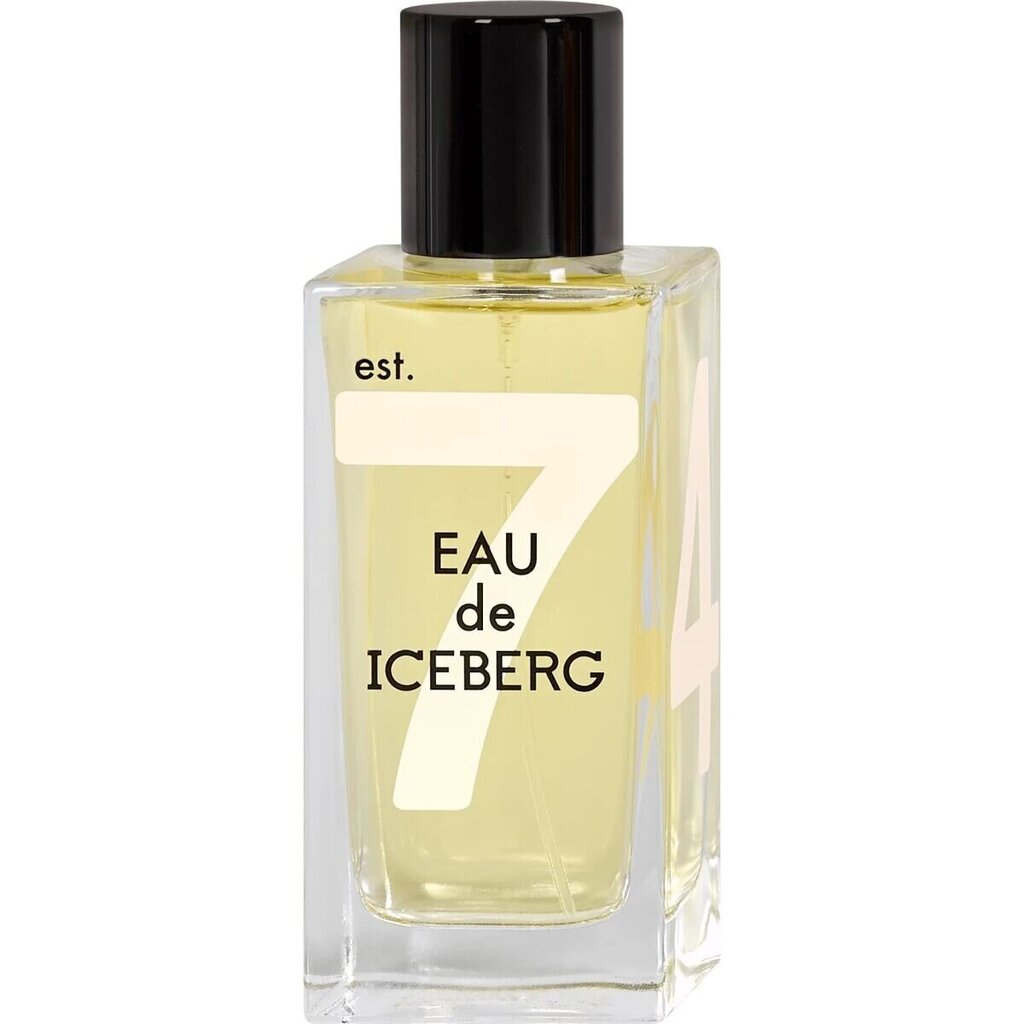 Naiste parfümeeria Iceberg EDT Eau De Iceberg For Her (100 ml) цена и информация | Parfüümid naistele | hansapost.ee