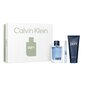 Tualettvesi Calvin Klein EDT, 100 ml hind ja info | Parfüümid meestele | hansapost.ee