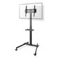 Nedis TVSM5100BK TV Floor Stand 32"- 55" up to 35kg hind ja info | Teleri seinakinnitused ja hoidjad | hansapost.ee