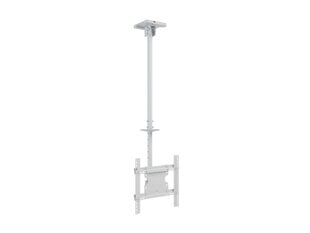 Multibrackets MB-2494 TV Ceiling mount up to 55" / 70kg hind ja info | Multibrackets Kodumasinad | hansapost.ee