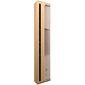 Bang & Olufsen Beosound Level Gold Tone цена и информация | Kõlarid | hansapost.ee