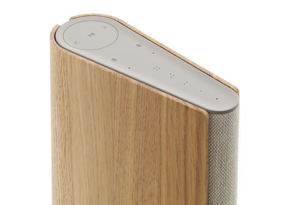 Bang & Olufsen Beosound Emerge Gold Tone цена и информация | Kõlarid | hansapost.ee