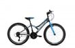 Defektiga toode. Noorukite jalgratas Capriolo MTB Diavolo 400 24", hall/sinine цена и информация | Defektiga tooted | hansapost.ee
