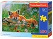 Pusle Castorland, 100 tk, Foxy Dreams hind ja info | Pusled lastele ja täiskasvanutele | hansapost.ee