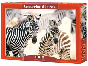 Pusle Castorland, 1000 tk, Young Zebras hind ja info | Pusled lastele ja täiskasvanutele | hansapost.ee