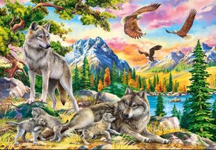 Pusle Castorland, 1000 tk, Wolf Family and Eagles hind ja info | Pusled lastele ja täiskasvanutele | hansapost.ee