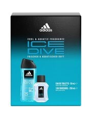 Kinkekomplekt Adidas Ice Dive meestele: tualettvesi Edt, 50 ml + dušigeel, 250 ml цена и информация | Мужские духи | hansapost.ee