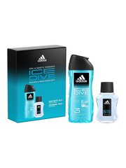 Kinkekomplekt Adidas Ice Dive meestele: tualettvesi Edt, 50 ml + dušigeel, 250 ml цена и информация | Мужские духи | hansapost.ee