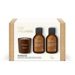 Kinkekomplekt Baylis & Harding Wellness Luxury Candle: kehapesuvahend 100 ml + käte- ja ihupiim 100 ml + lõhnaküünal 100 g hind ja info | Kehakreemid, kehaõlid ja losjoonid | hansapost.ee