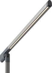 Philipsi laualamp Sword DSK610 цена и информация | Настольные лампы | hansapost.ee