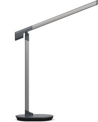 Philipsi laualamp Sword DSK610 цена и информация | Настольные лампы | hansapost.ee