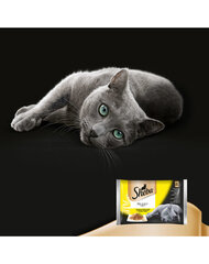 Набор Sheba Delicato с птицей, 4 x 85 г x 13 цена и информация | Консервы для кошек | hansapost.ee