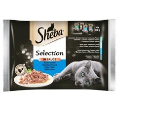 Набор Sheba Selection в соусе с рыбой, 13 х 340 г цена и информация | Sheba Товары для животных | hansapost.ee