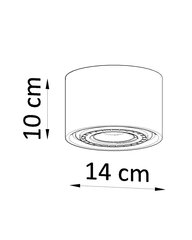 Laevalgusti Basic 1 hind ja info | Laelambid | hansapost.ee