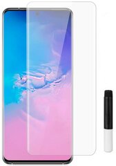 Evelatus Clear Glass UV + Samsung Galaxy S20 Ultra цена и информация | Защитные пленки для телефонов | hansapost.ee