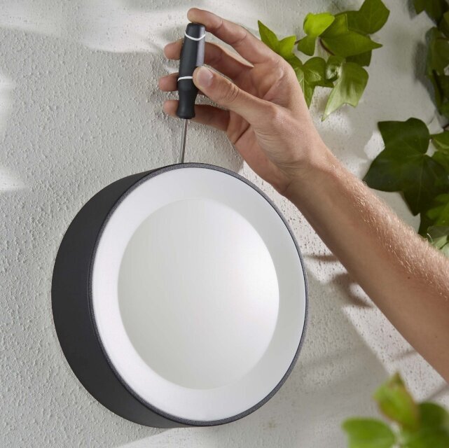 Philips välisvalgusti Daylo HUE Outdoor White and Color Ambiance Smart Wall Light цена и информация | Aiavalgustid ja õuevalgustid | hansapost.ee