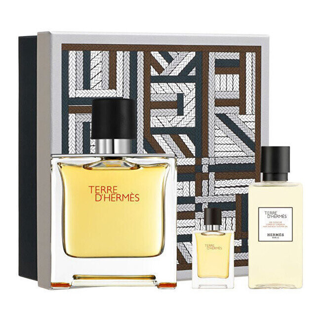 Komplekt meestele Terre D' Hermes: parfüümvesi, 75 ml + dušigeel, 40 ml + parfüümvesi, 5 ml hind ja info | Parfüümid meestele | hansapost.ee