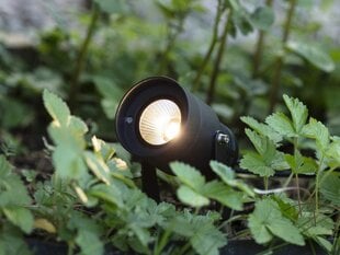 <p>Точечный светильник Garden24, 6Вт, черный, IP44, с подвесным и наземным монтажом</p>
 цена и информация | Уличные светильники | hansapost.ee