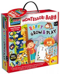 Õppeotstarbeline mäng Lisciani Montessori Baby Raffy Grow&Play hind ja info | Arendavad laste mänguasjad | hansapost.ee