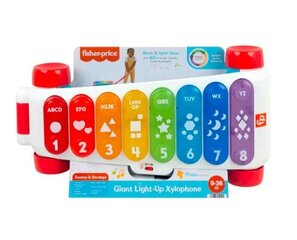 Muusikaline mänguasi Suur hariduslik tõmmatav ksülofon hind ja info | Fisher Price Lastekaubad ja beebikaubad | hansapost.ee