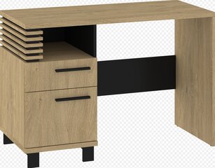 Письменный стол Lamir, коричневый/черный цвет цена и информация | Компьютерные, письменные столы | hansapost.ee