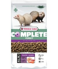 Sööt tuhkrutele Versele-Laga Ferret complete, 10 kg hind ja info | Toit väikeloomadele | hansapost.ee