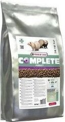 Sööt tuhkrutele Versele-Laga Ferret complete, 10 kg цена и информация | Корм для грызунов | hansapost.ee